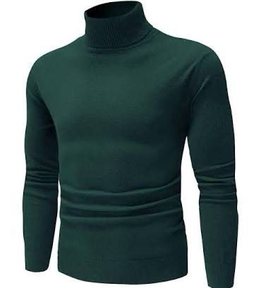 Maglioncino modello dolcevita